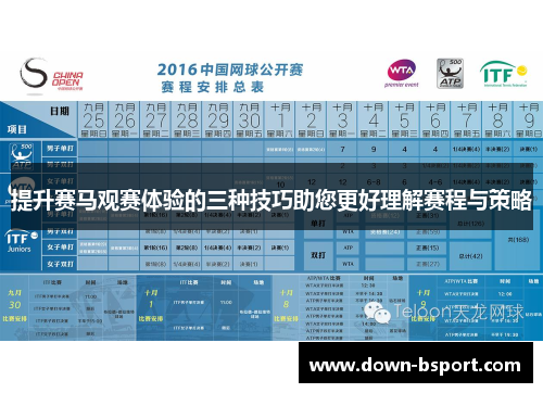 提升赛马观赛体验的三种技巧助您更好理解赛程与策略 提升赛马观赛体验的三种技巧助您更好理解赛程与策略